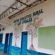 Sede Corales